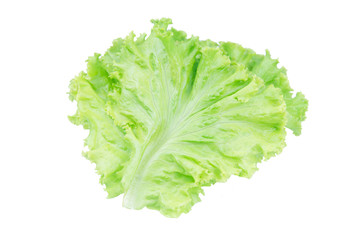 Salad leaf. Lettuce isolated on white background with clipping path.