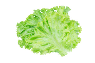 Salad leaf. Lettuce isolated on white background with clipping path.