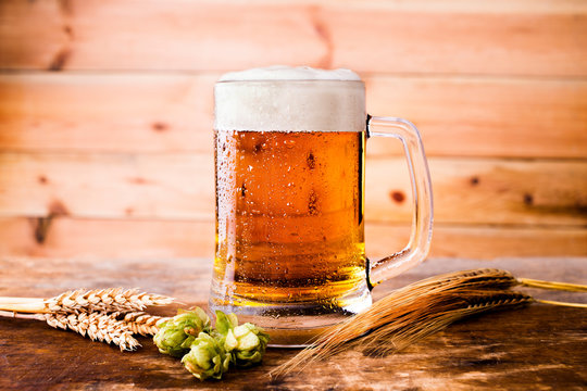 beer with wheat and hops