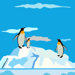 Obraz premium background in blue colors, penguins on the iceberg