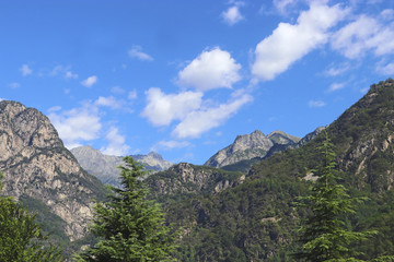 Fototapeta na wymiar summer in the European Alps