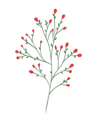 branch with seeds decorative icon