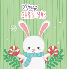cute rabbit with candy canes and leaves merry christmas