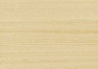 Wood texture. Oak close up texture background. Wooden floor or table with natural pattern