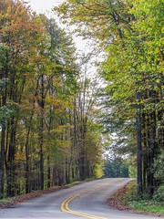 Autumn Road Trip 