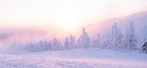 Morning in winter, a lot of snow on the trees and snowdrifts. Mountain in Lapland and the sun's rays.