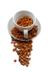  Fresh Roasted Coffee Beansin cup on plate with white background