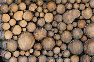 tronchi di legno da ardere accatastati ordinatamente
