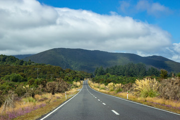 road through Tongariro national Park, New Zealand