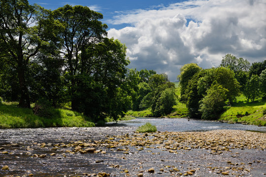 Man fishing in the rapids of River Wharfe at Bolton Abbey Wharfedale North Yorkshire England