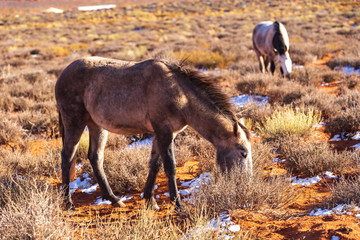 Monument Valley on a sunny day