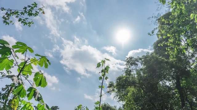Timelapse en contrapicada