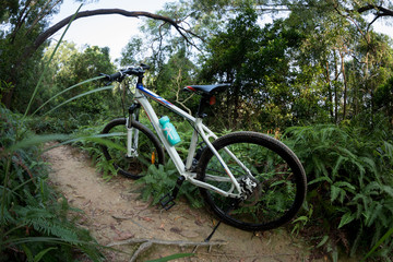 Fototapeta na wymiar One mountain bike at rainforest trail
