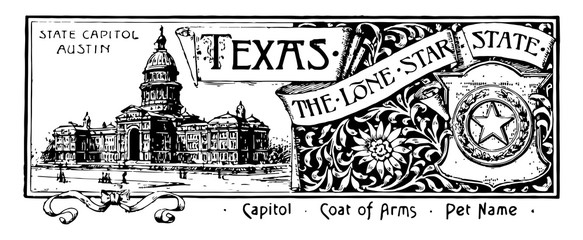 The state banner for Texas the lone star state vintage illustration
