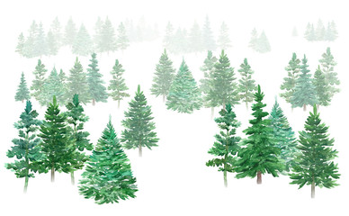 Fototapeta premium Watercolor winter forest. Christmas green trees. Spruce and holiday trees. Hand-drawn illustration.