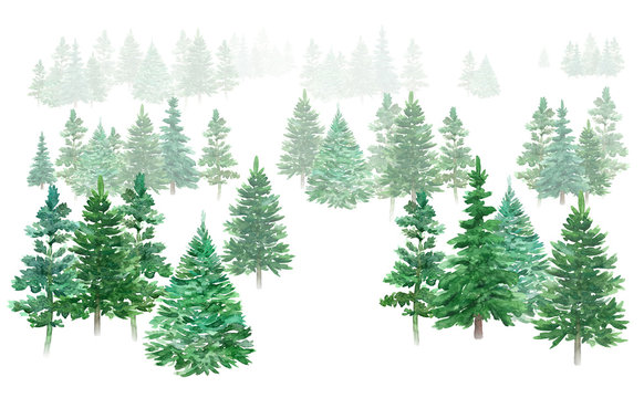 Watercolor winter forest. Christmas green trees. Spruce and holiday trees. Hand-drawn illustration.