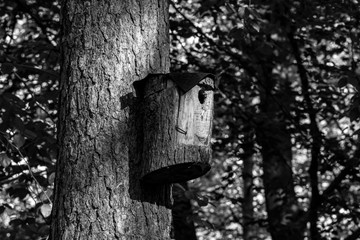 Bird House