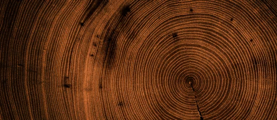 Foto op Canvas Detailed warm dark brown and orange tones of a felled tree trunk or stump. Rough organic texture of tree rings with close up of end grain. © CaptureAndCompose