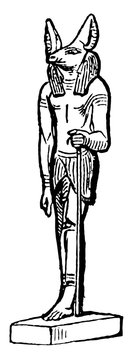 Anubus is An Egyptian deity vintage engraving.
