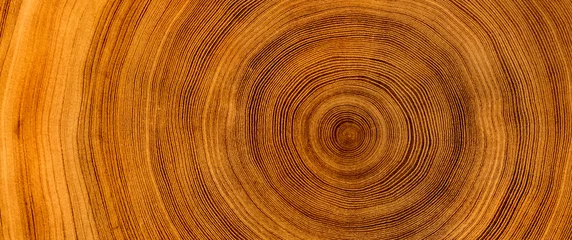 Gardinen Detaillierte warme Dunkelbraun- und Orangetöne eines gefällten Baumstamms oder -stumpfs. Grobe organische Textur von Baumringen mit Nahaufnahme von Hirnholz. © CaptureAndCompose
