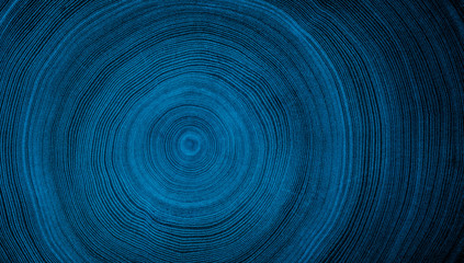 Detailed indigo denim blue tones of a felled tree trunk or stump. Rough organic texture of tree rings with close up of end grain.