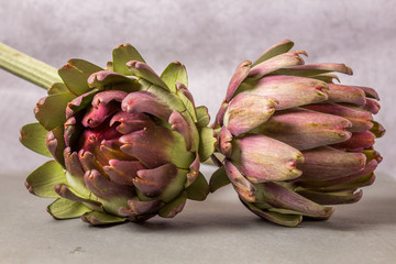 Obraz premium artichokes on grey background. fresh organic artichoke flower