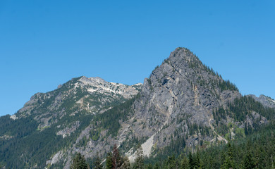 A rocky mountain peak with evergreen pine trees against a clear blue cloudless sky