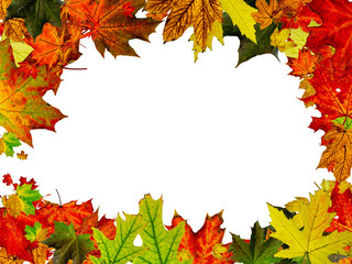 Naklejka na ściany i meble Autumn leaves white background. Falling November pattern. Thanksgiving season concept