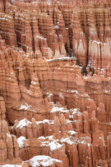 Close Up of beautiful snow covered mountains during the freezing winter period in Bryce  Canyon National Park, Utah, United States of America