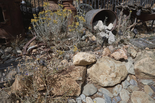 Collection of historic items along a fence mixed in with sage brush and rocks in Virginia City, Nevada