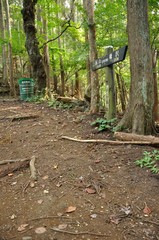 生藤山 佐野川峠の森