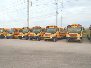Obraz premium Yellow school Buses in parking lot in the afternoon. View of parked American Buses in Canada. Drone aerial view from above.