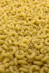 This is a photograph of Macaroni pasta