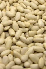 This is a photograph of White Kidney Beans