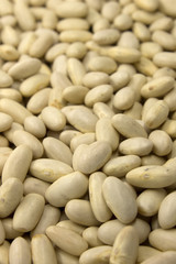 This is a photograph of White Kidney Beans
