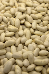 This is a photograph of White Kidney Beans