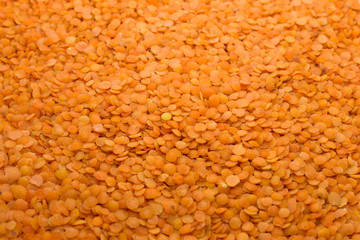 This is a photograph of Red lentils