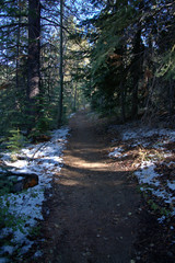 Mountain Hiking trail threading around the trees and dusting of snow
