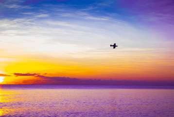 A silhouette shot of a small plane shot against the setting sun. The sky is lit brightly and...