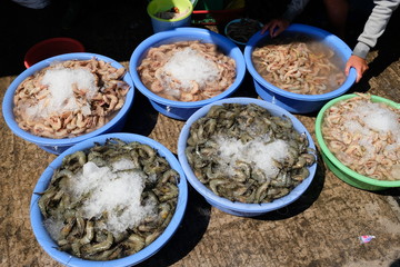 Vietnam Phu Quoc  Duong Dong Market - shrimp prawn