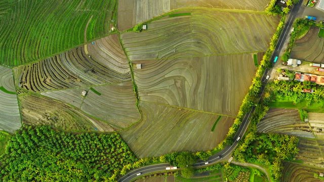 Aerial nature landscape Rice Terrace in Asia at sunset.