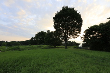 比良の丘の夕景 