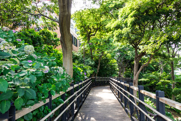 (神奈川県ｰ湾岸風景)港の見える丘公園の風景２