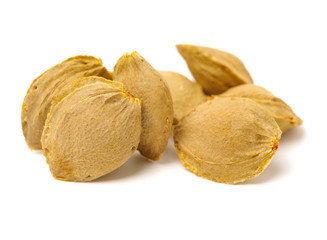 Dry apricot nut on white background