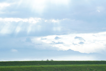 Fototapeta premium Ważka z czerwonym tyłkiem