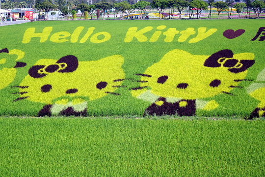 Farmers Create Hello Kitty Images in a Rice Field