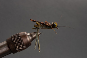 Fly Fishing Grasshopper