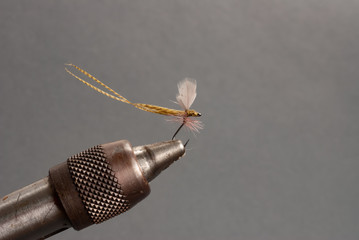 Fly Fishing Mayfly