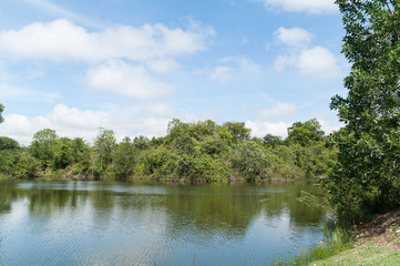Beautiful and peaceful natural lake surrounded by trees on a sunny day.