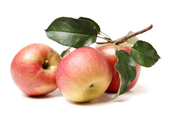 Red apples isolated on white background